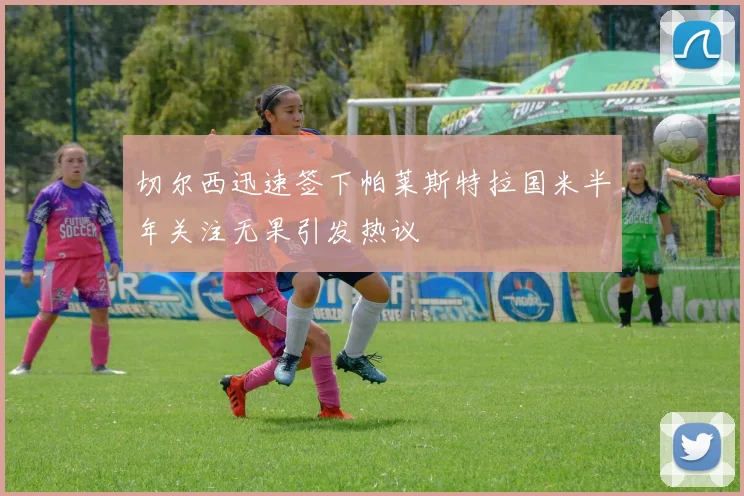 切尔西迅速签下帕莱斯特拉国米半年关注无果引发热议