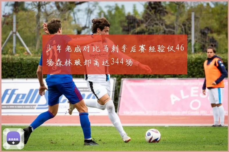 少年老成对比马刺季后赛经验仅46场森林狼却高达344场