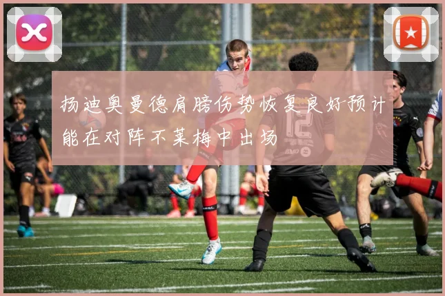 扬迪奥曼德肩膀伤势恢复良好预计能在对阵不莱梅中出场