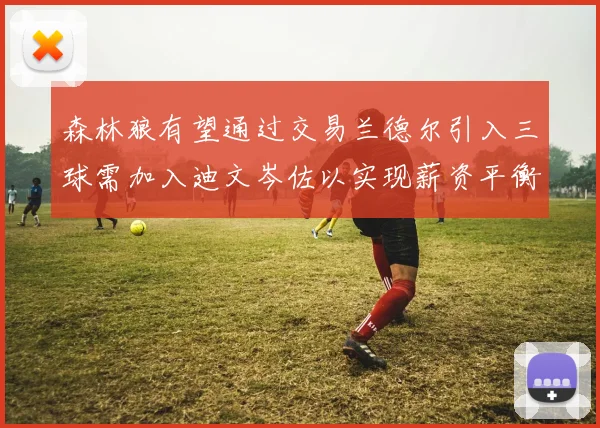 森林狼有望通过交易兰德尔引入三球需加入迪文岑佐以实现薪资平衡