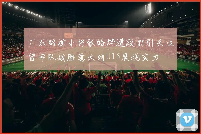 广东铭途小将张皓烨遭殴打引关注曾率队战胜意大利U15展现实力